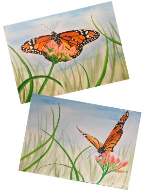 schmetterlinge2